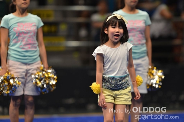 Gymnastics (455)