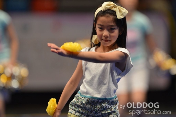Gymnastics (456)