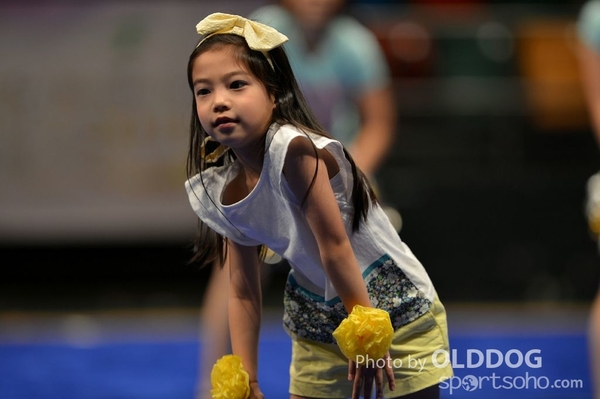 Gymnastics (458)