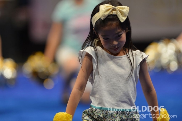 Gymnastics (459)