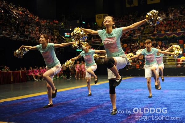 Gymnastics (461)
