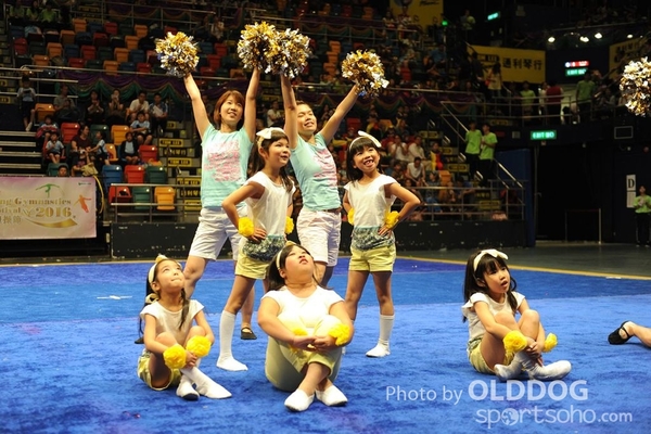 Gymnastics (462)