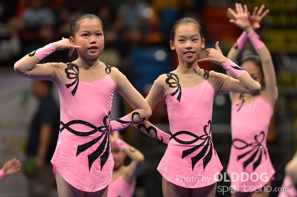 Gymnastics (463)
