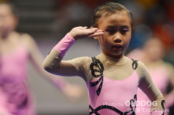 Gymnastics (464)