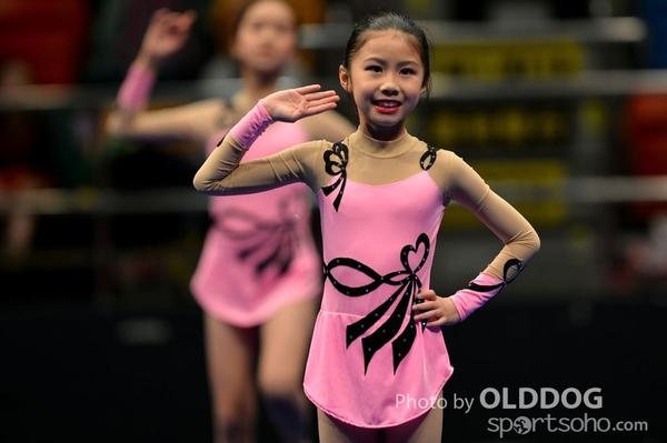 Gymnastics (465)