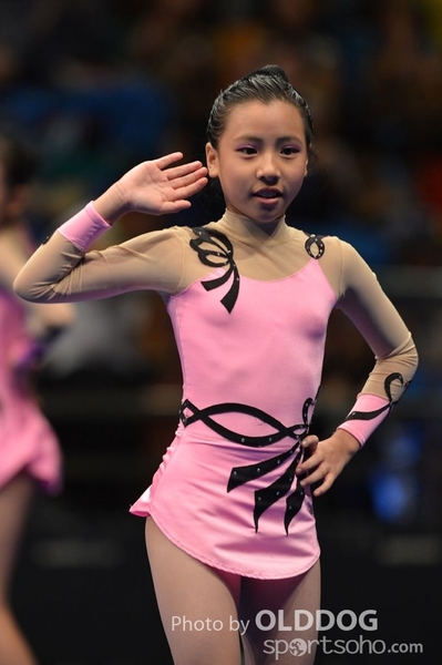 Gymnastics (466)