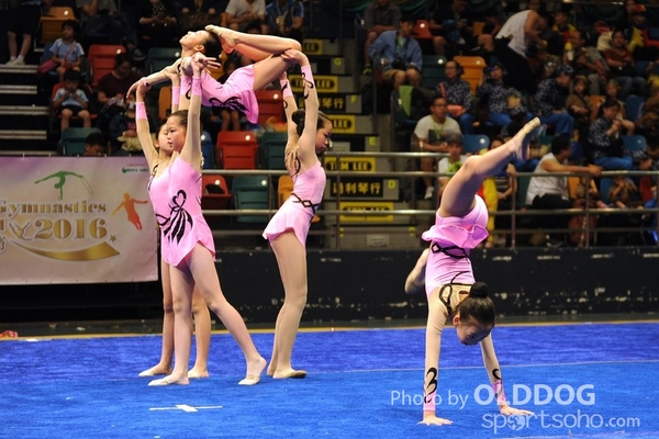 Gymnastics (467)