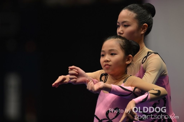 Gymnastics (468)
