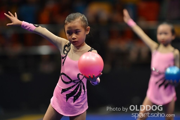 Gymnastics (469)