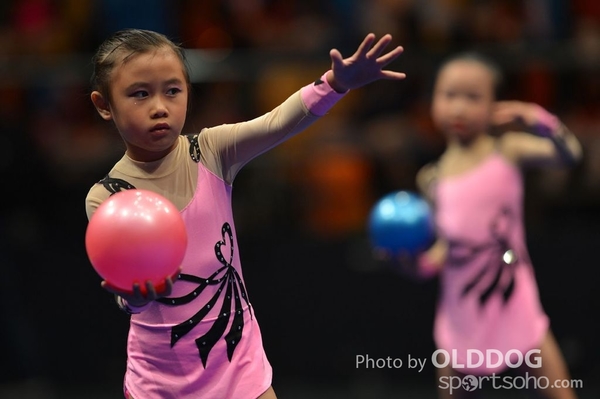 Gymnastics (470)