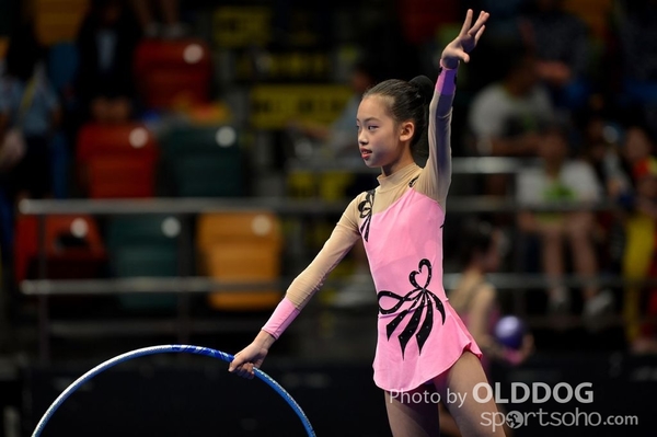 Gymnastics (471)