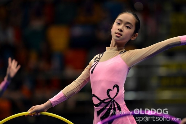 Gymnastics (473)