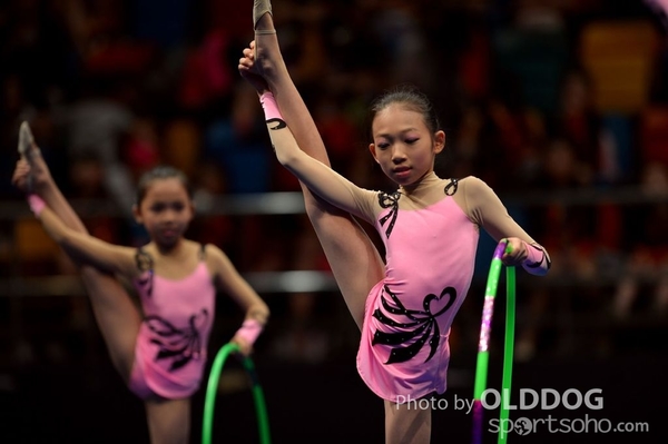 Gymnastics (474)