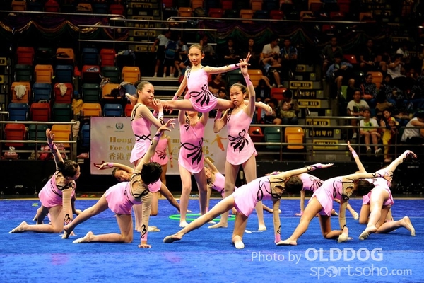 Gymnastics (475)