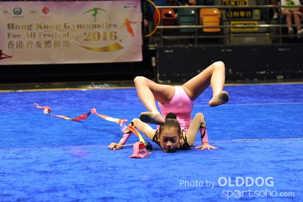 Gymnastics (476)