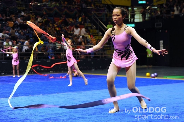 Gymnastics (477)
