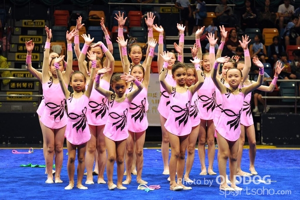 Gymnastics (478)