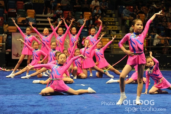 Gymnastics (479)