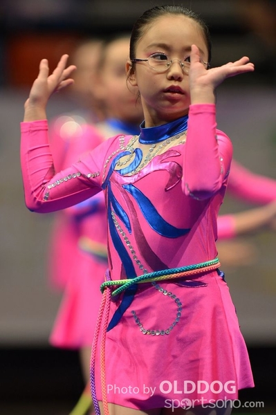 Gymnastics (480)