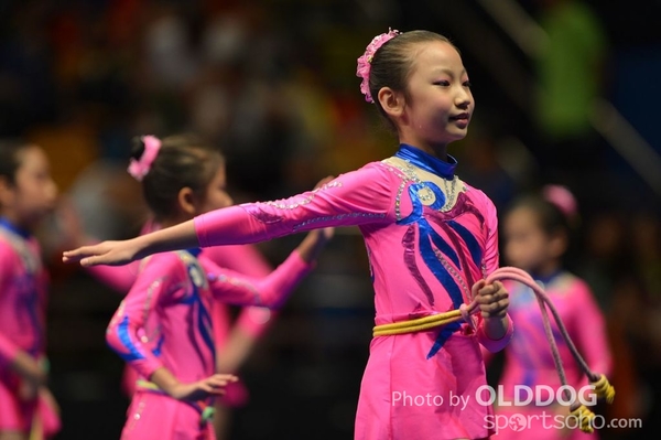 Gymnastics (481)