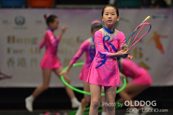 Gymnastics (482)