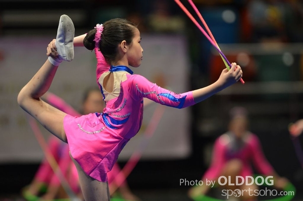 Gymnastics (483)