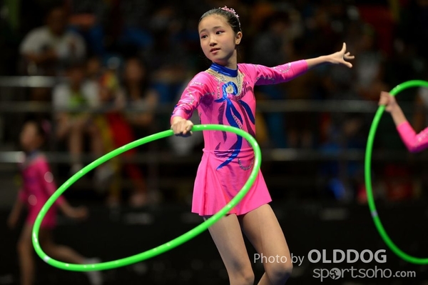 Gymnastics (485)