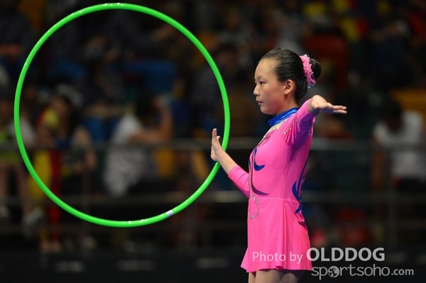 Gymnastics (486)
