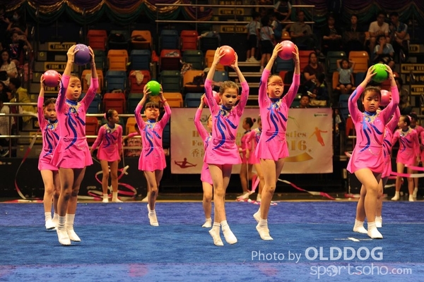 Gymnastics (487)