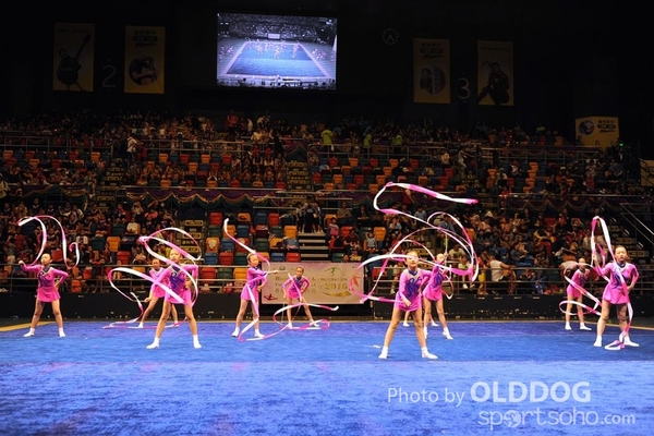 Gymnastics (488)