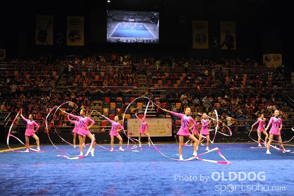 Gymnastics (489)