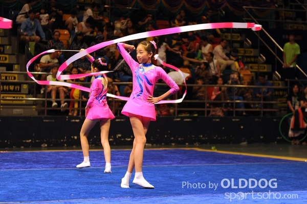 Gymnastics (490)