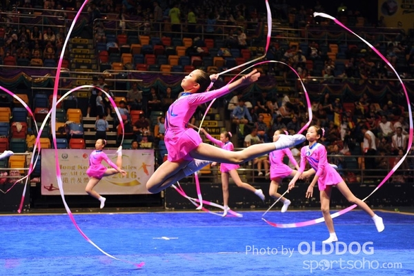 Gymnastics (491)