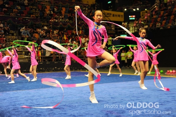 Gymnastics (492)