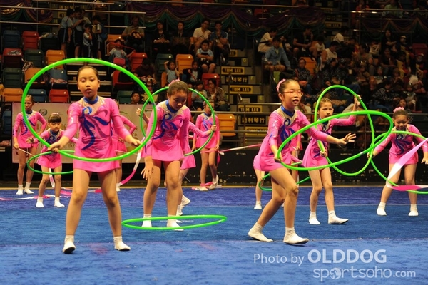Gymnastics (493)