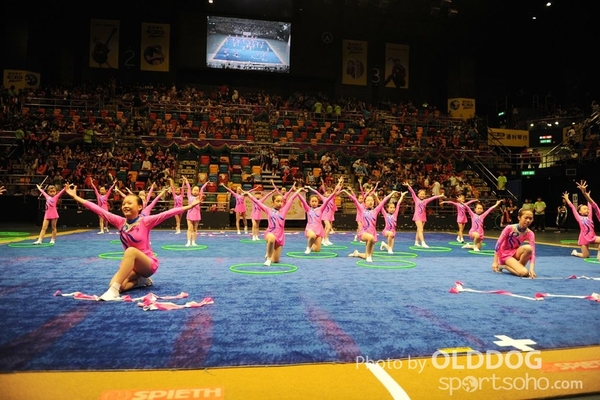 Gymnastics (494)