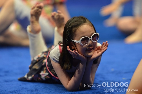 Gymnastics (504)