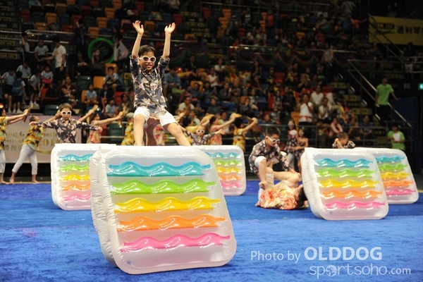 Gymnastics (508)