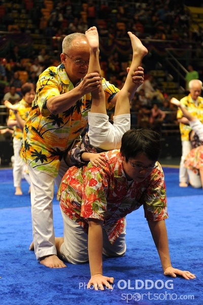 Gymnastics (513)