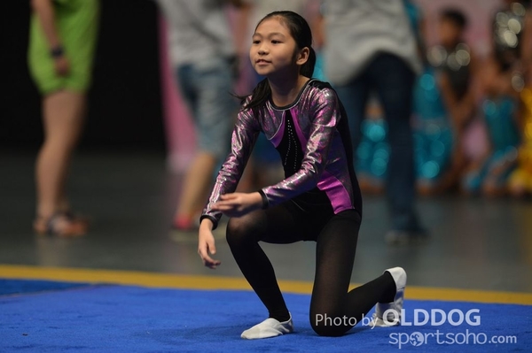 Gymnastics (516)