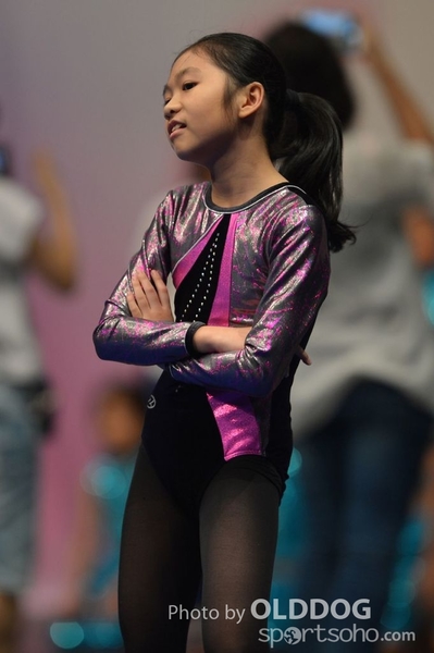 Gymnastics (517)