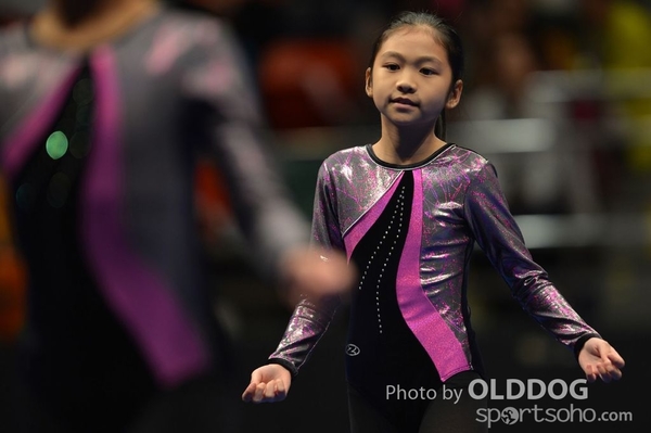 Gymnastics (519)