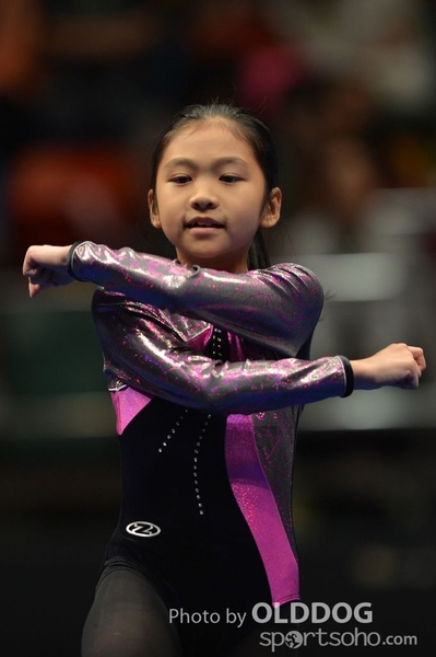 Gymnastics (520)