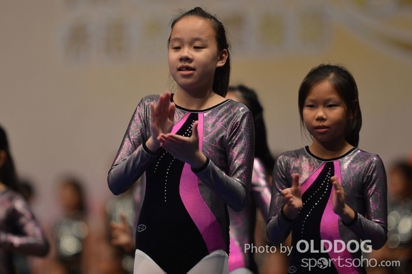 Gymnastics (521)