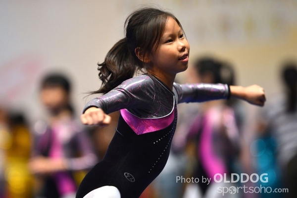 Gymnastics (522)