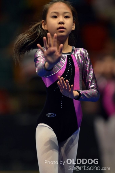 Gymnastics (523)