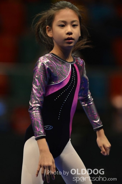 Gymnastics (524)