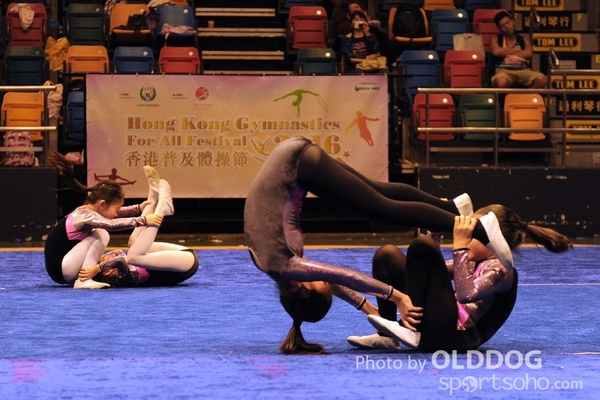 Gymnastics (525)