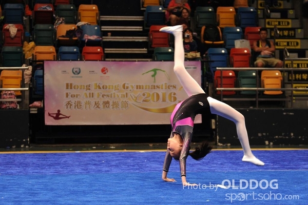Gymnastics (526)