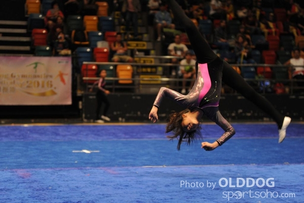 Gymnastics (527)
